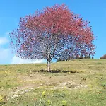 Zbogar Apartamento *