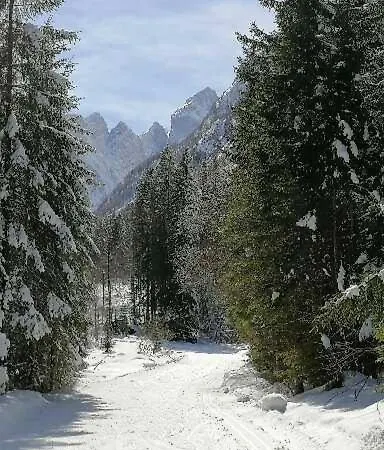 Διαμέρισμα Zbogar *