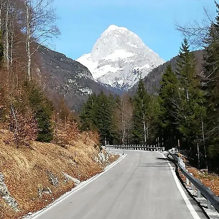 Zbogar